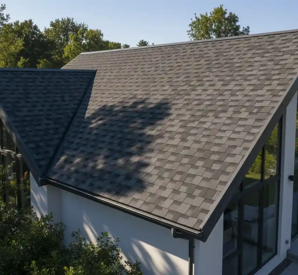 Asphalt Shingle Close-up